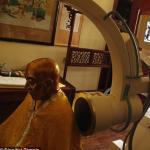 An incredible discovery in Mongolia shocked scientists - photo Scientists have found a 600-year-old Mongolian monk