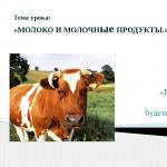 Presentation “Milk and dairy products Presentation on the topic milk