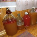 Moonshine recipe: home brewing for beginners