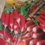 Biological features of radish Common radish