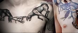 Значението, историята и значението на татуировката на елен Елен като символ, какво означава това