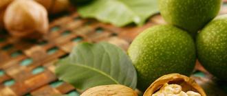Walnut: benefits and harms, calorie content, beneficial and medicinal properties, contraindications for men and women